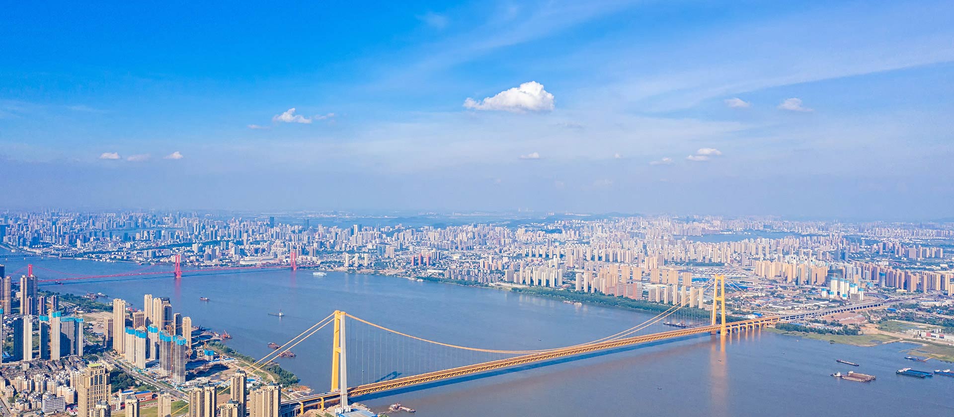 企業(yè)榮譽(yù) 龍頭企業(yè)